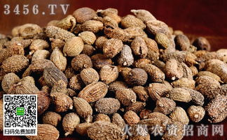 中藥材與放射性藥品的冬季管理技術(shù)要點(diǎn)解析